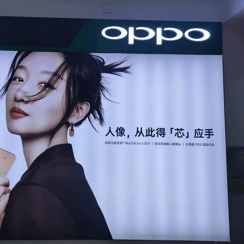 卖手机的燕子