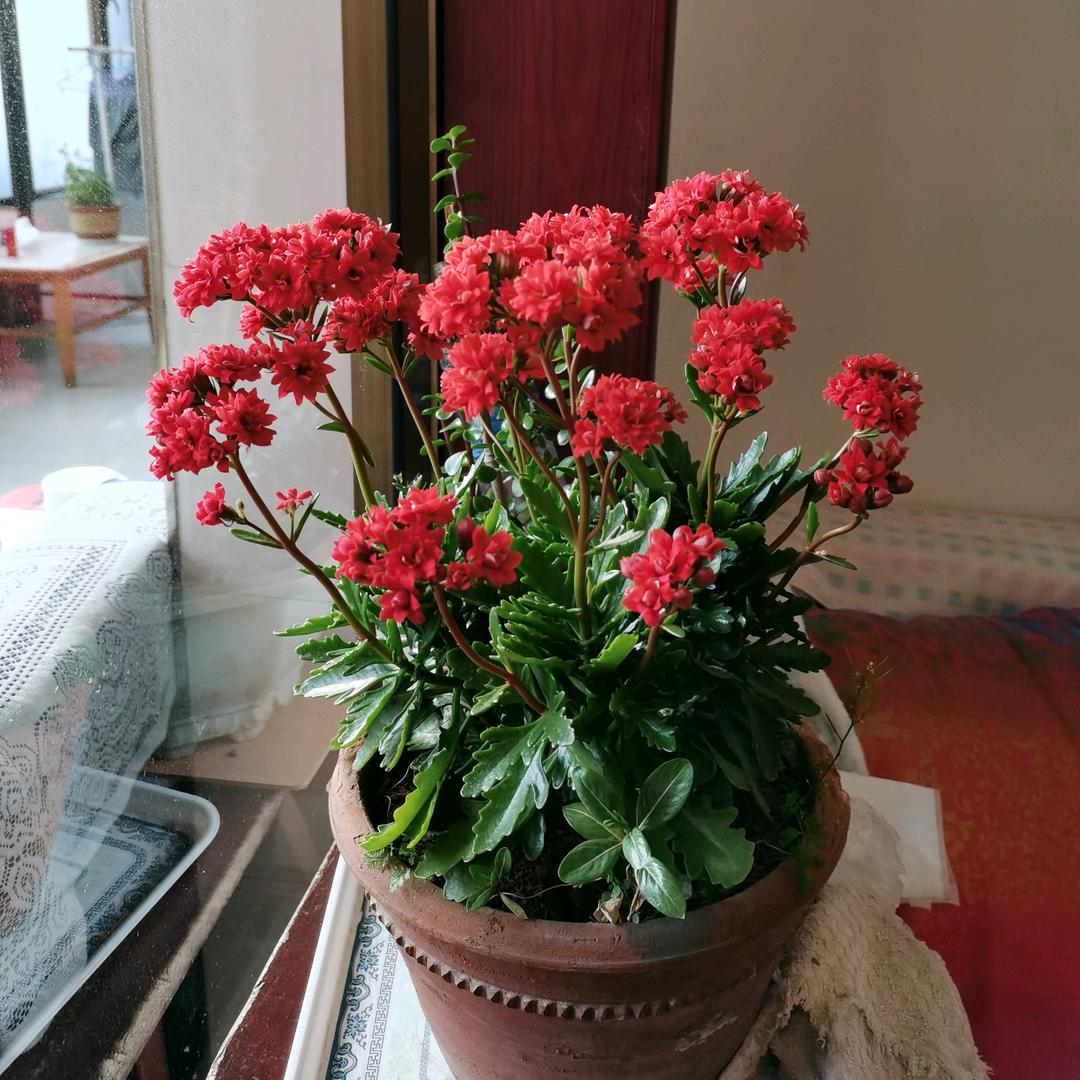 六一和小雨🌸