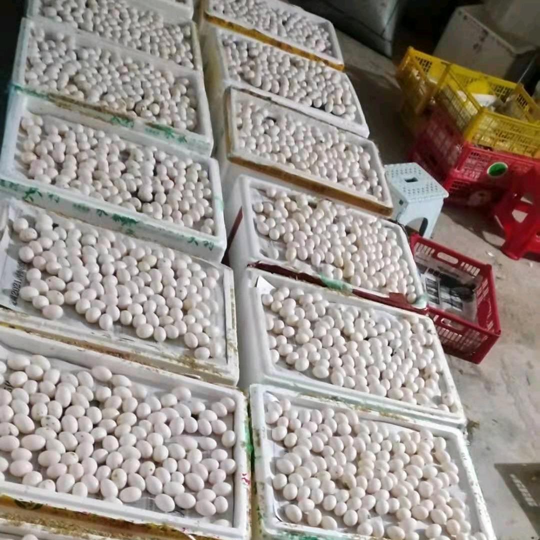小源✔