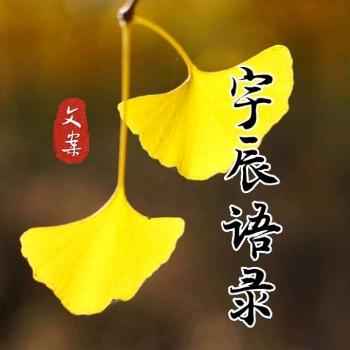 宇辰语录