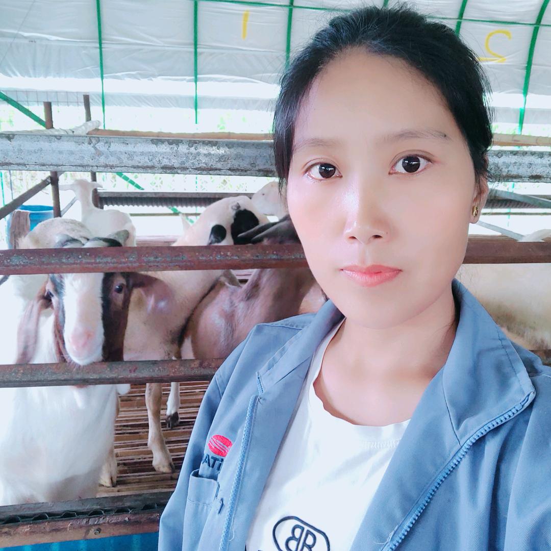 萧县苗苗羊肉一