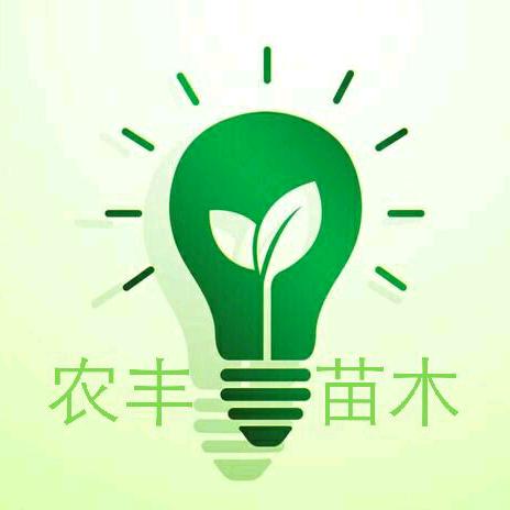 农丰苗木