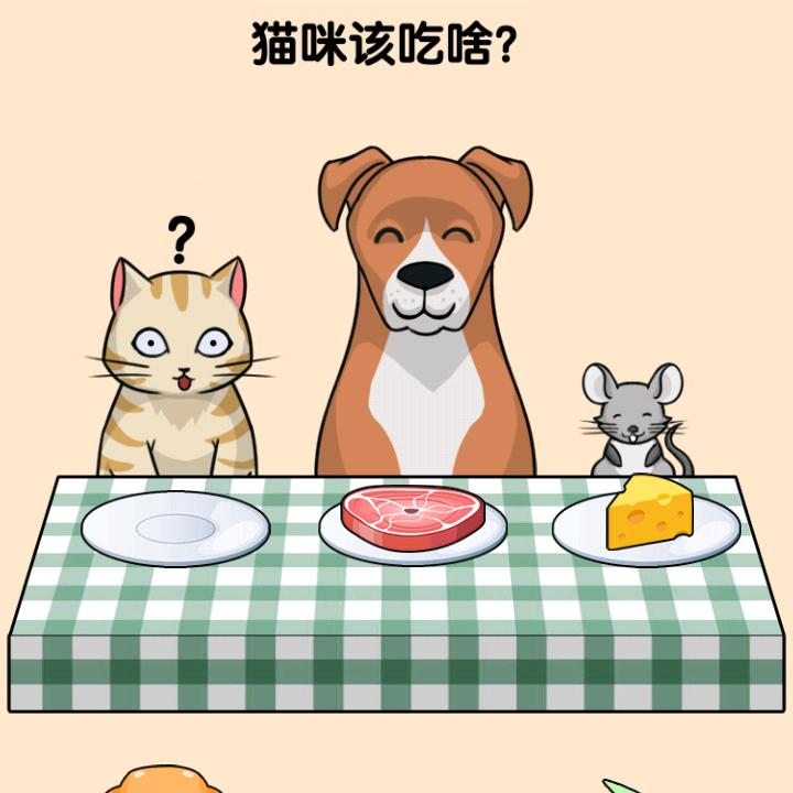 可爱的姓赵的小朋友