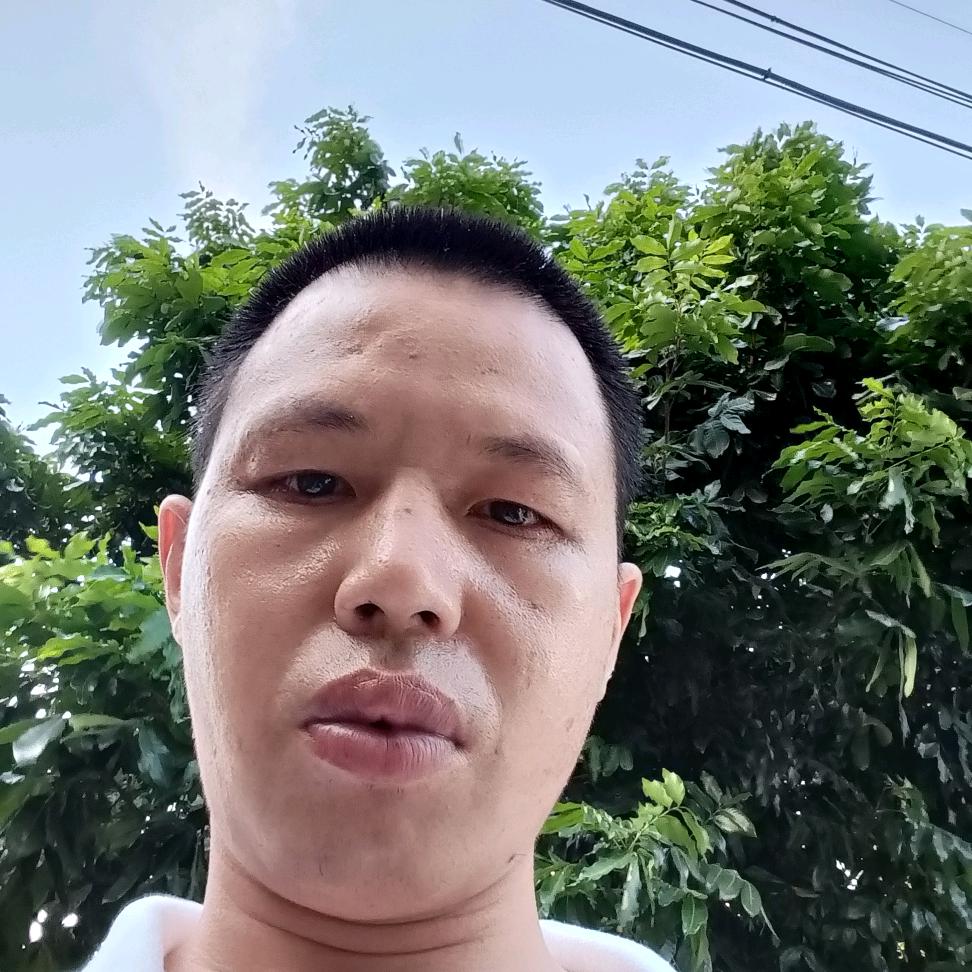 YZP杨振沛