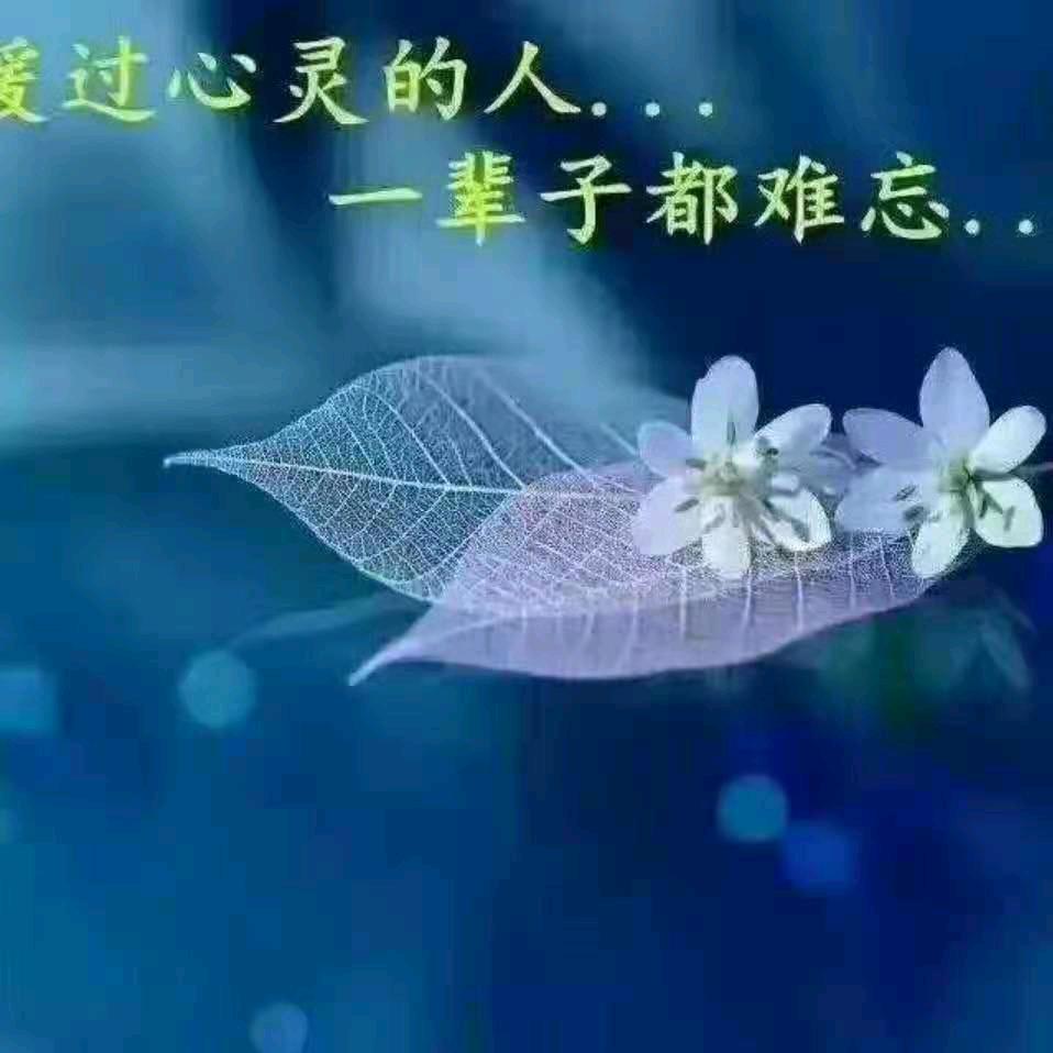 自由自在