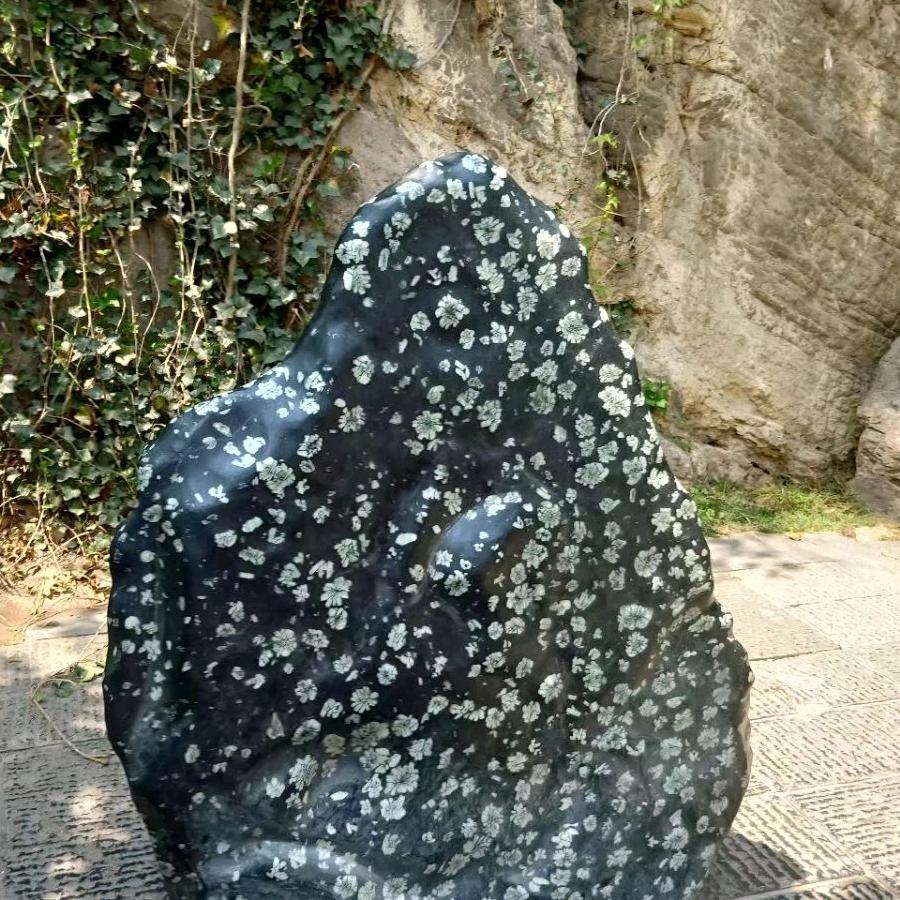 顺♥其＠自♥然