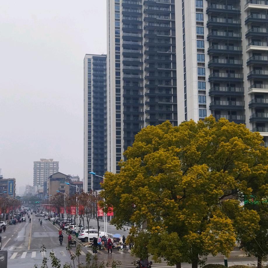 新堤瑞福祥