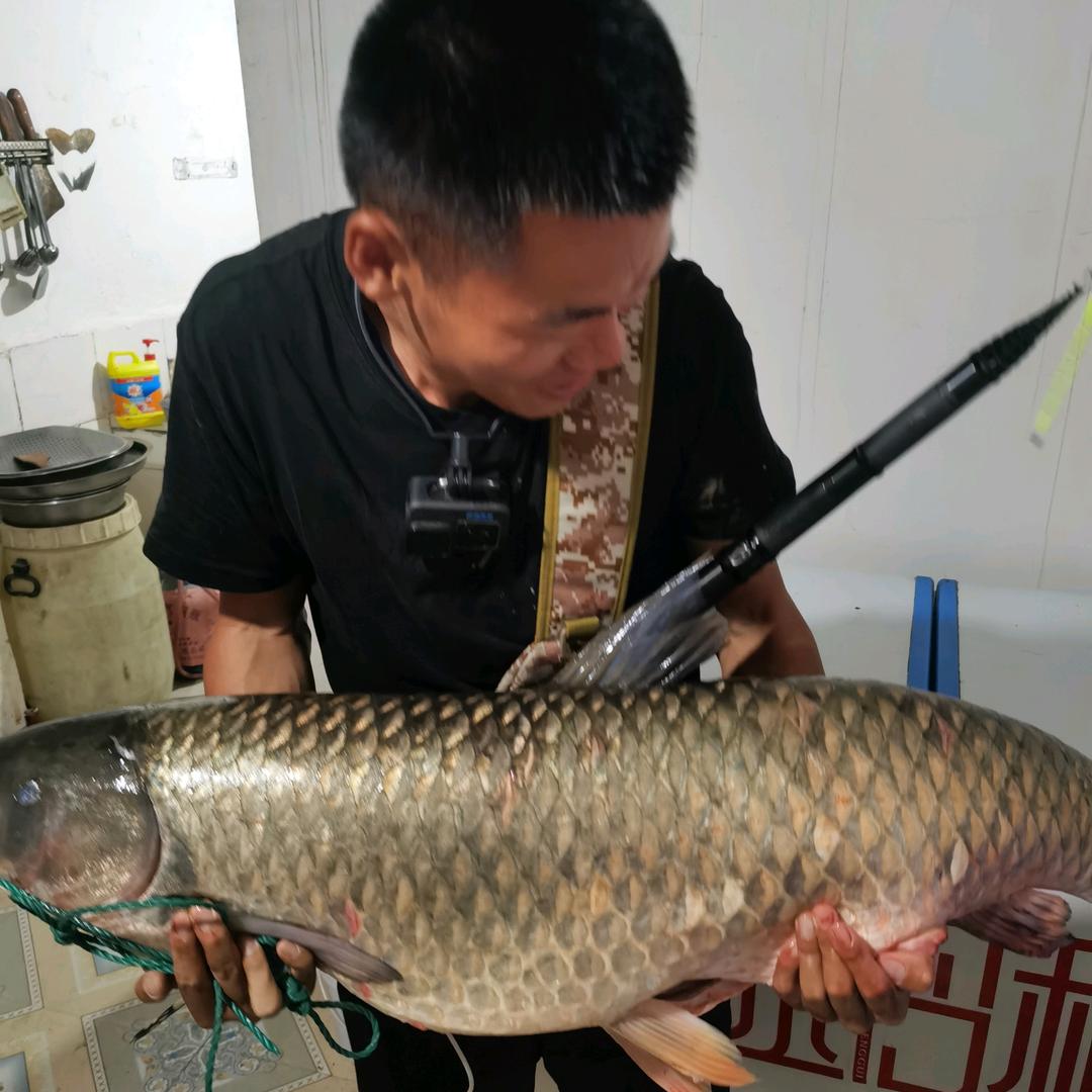 野战谷麦（刚哥）
