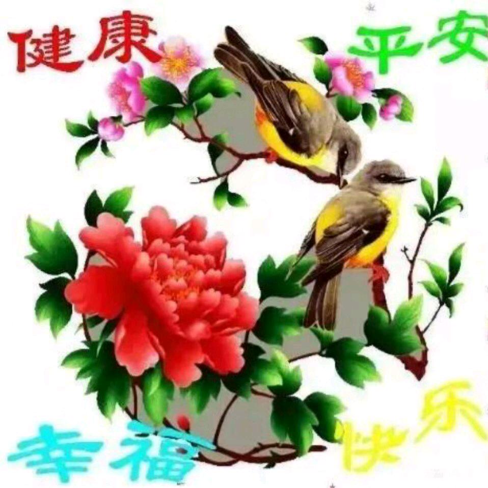 马静马媛奶奶