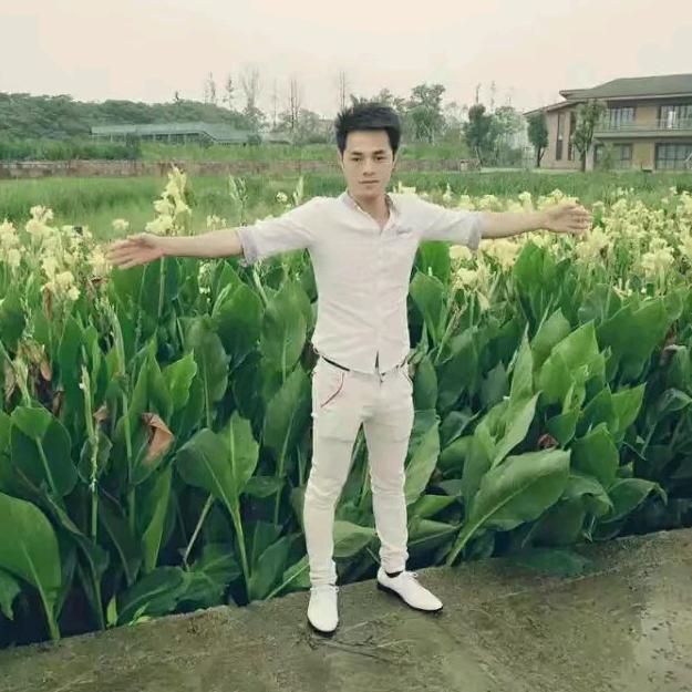 （网工）捉鱼  小清