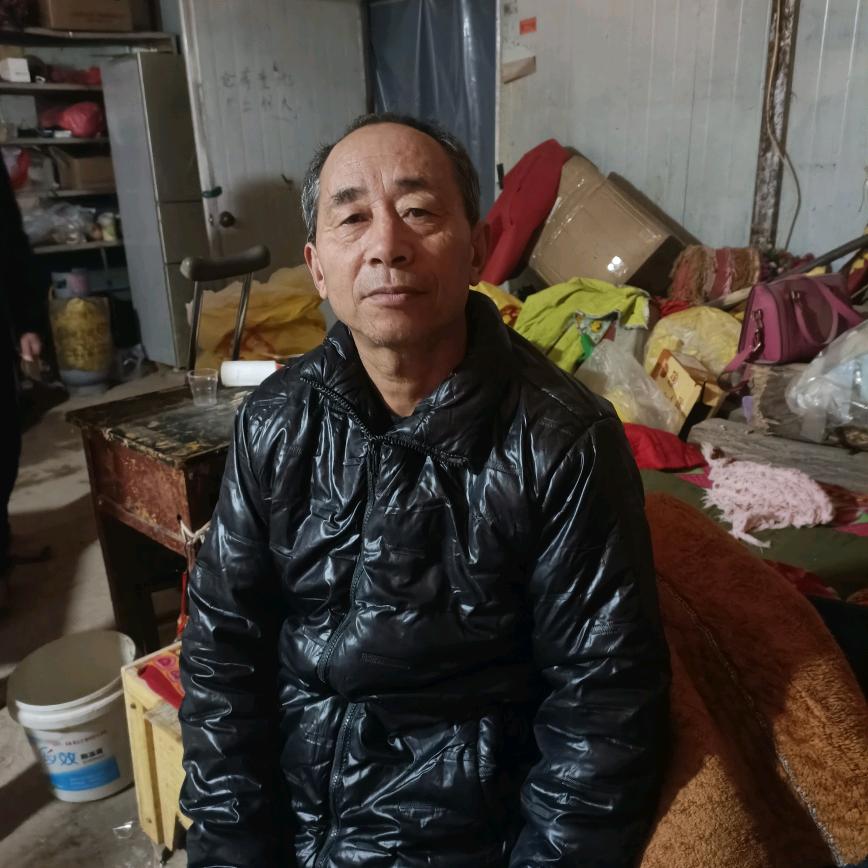 鹌鹑孵化基地  太康县杨庙乡北洪庙