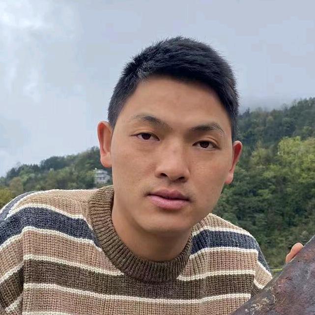 俩只猪