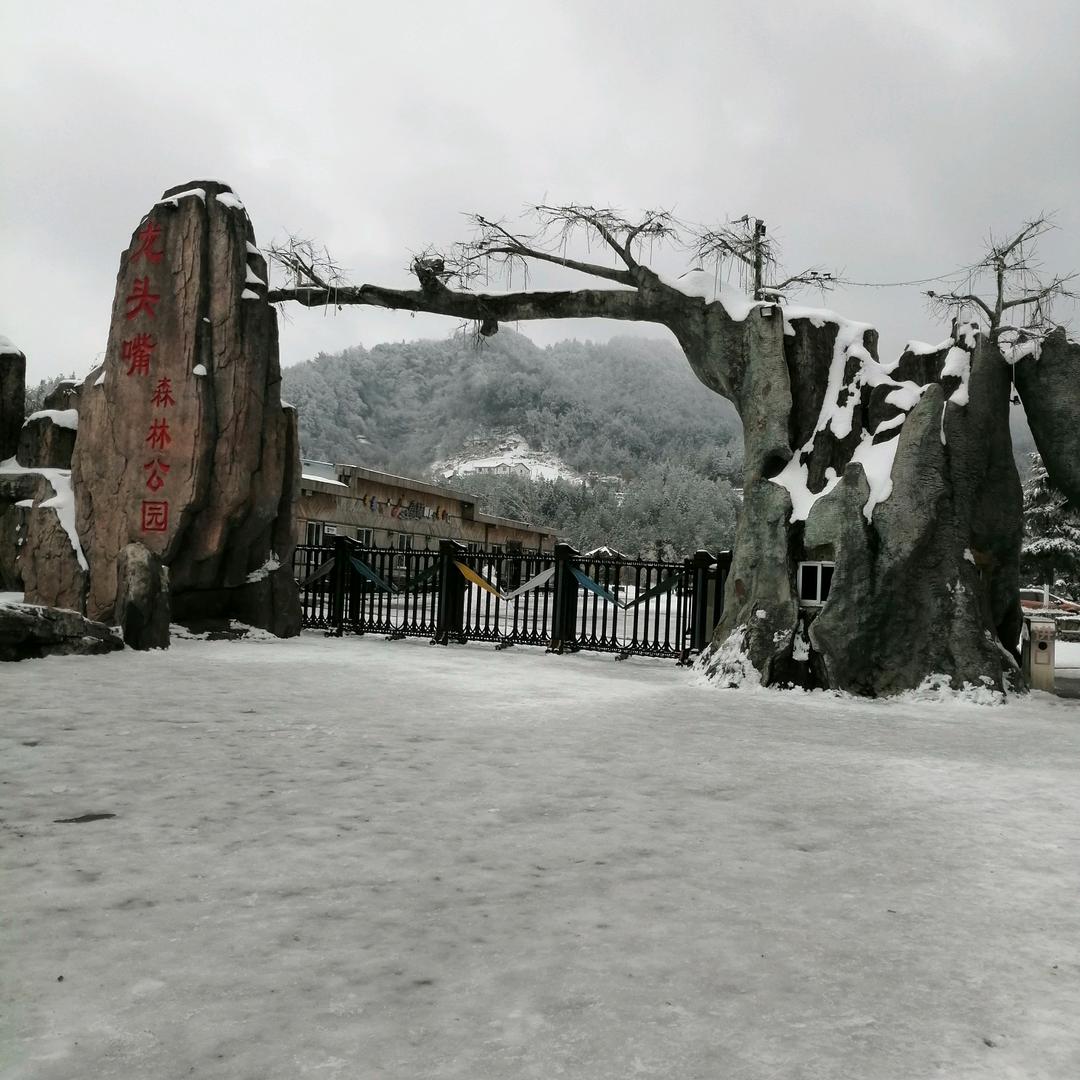土特产
