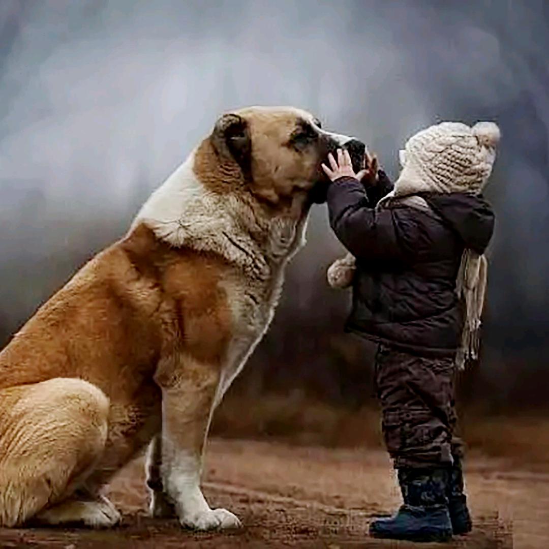 钦州港百年好合摄影馆