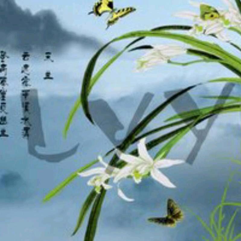 心若幽兰