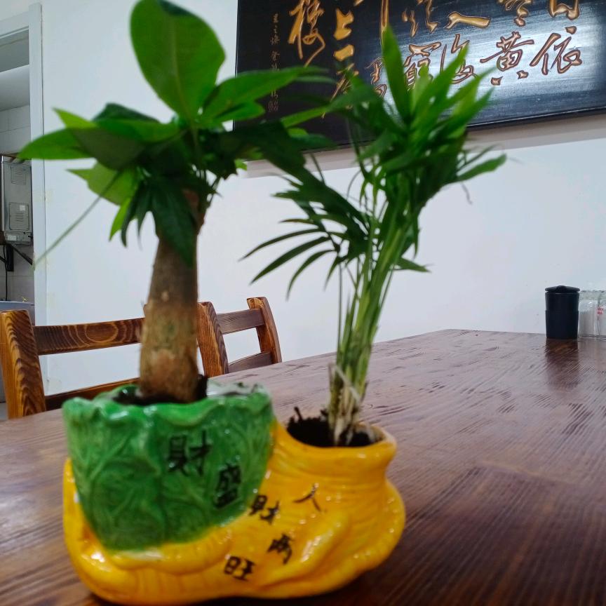 ☞飞鹰崛起《龙》