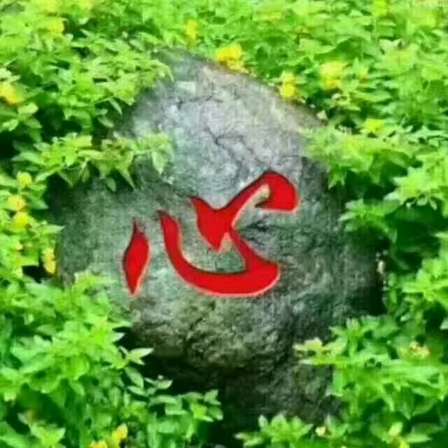 大丫头