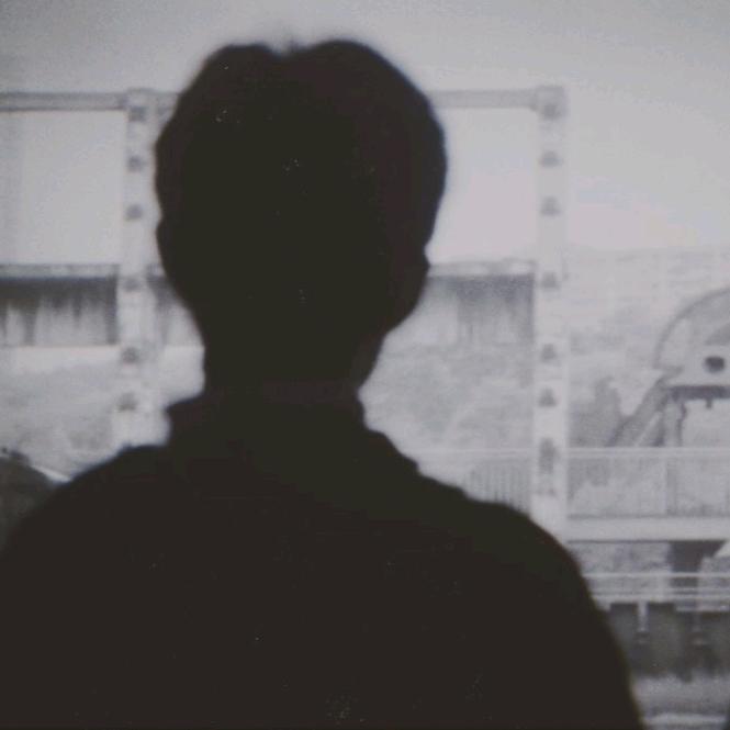 花开向阳。