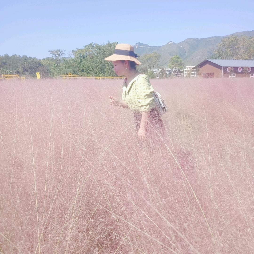 小英子