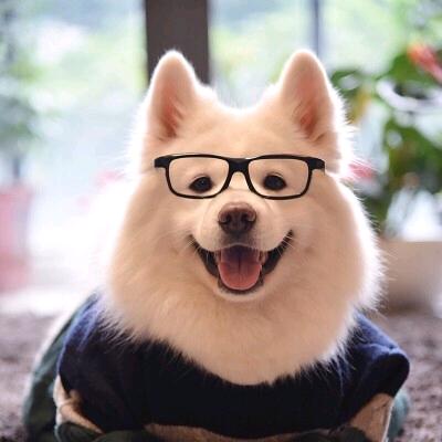 勇@yuan々