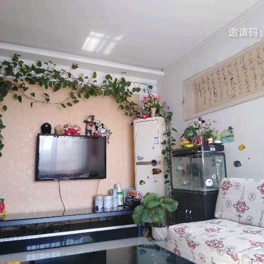 又是一个艳阳天