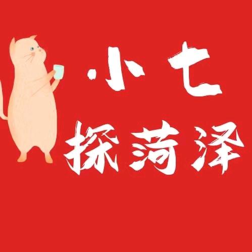 小七探菏泽
