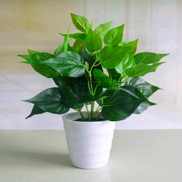 《欣欣向荣》