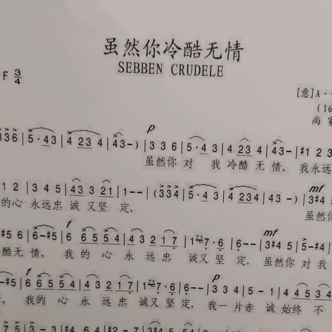 音乐🎶