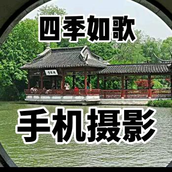 宁泽音画