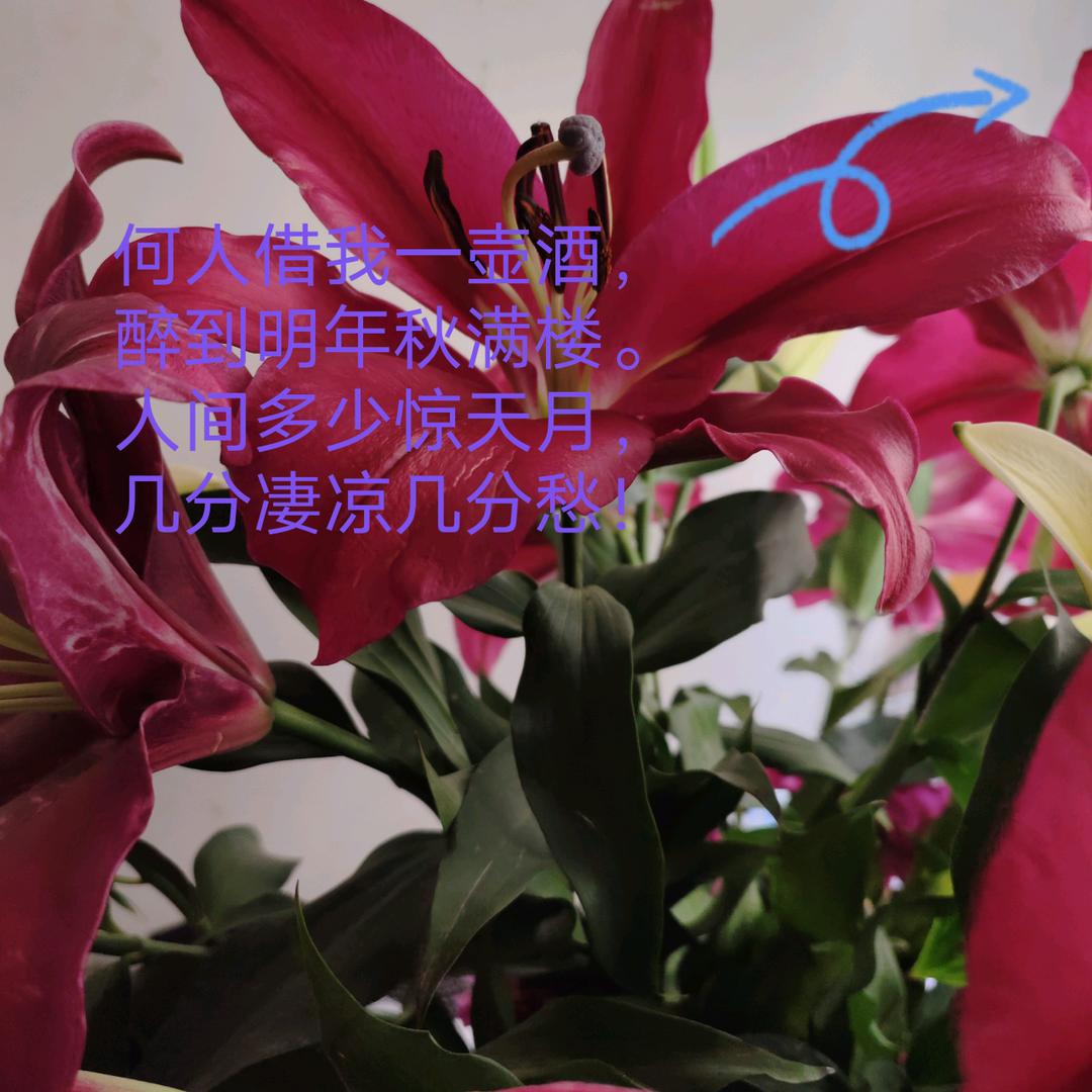 👀💗司予安欣💖💘
