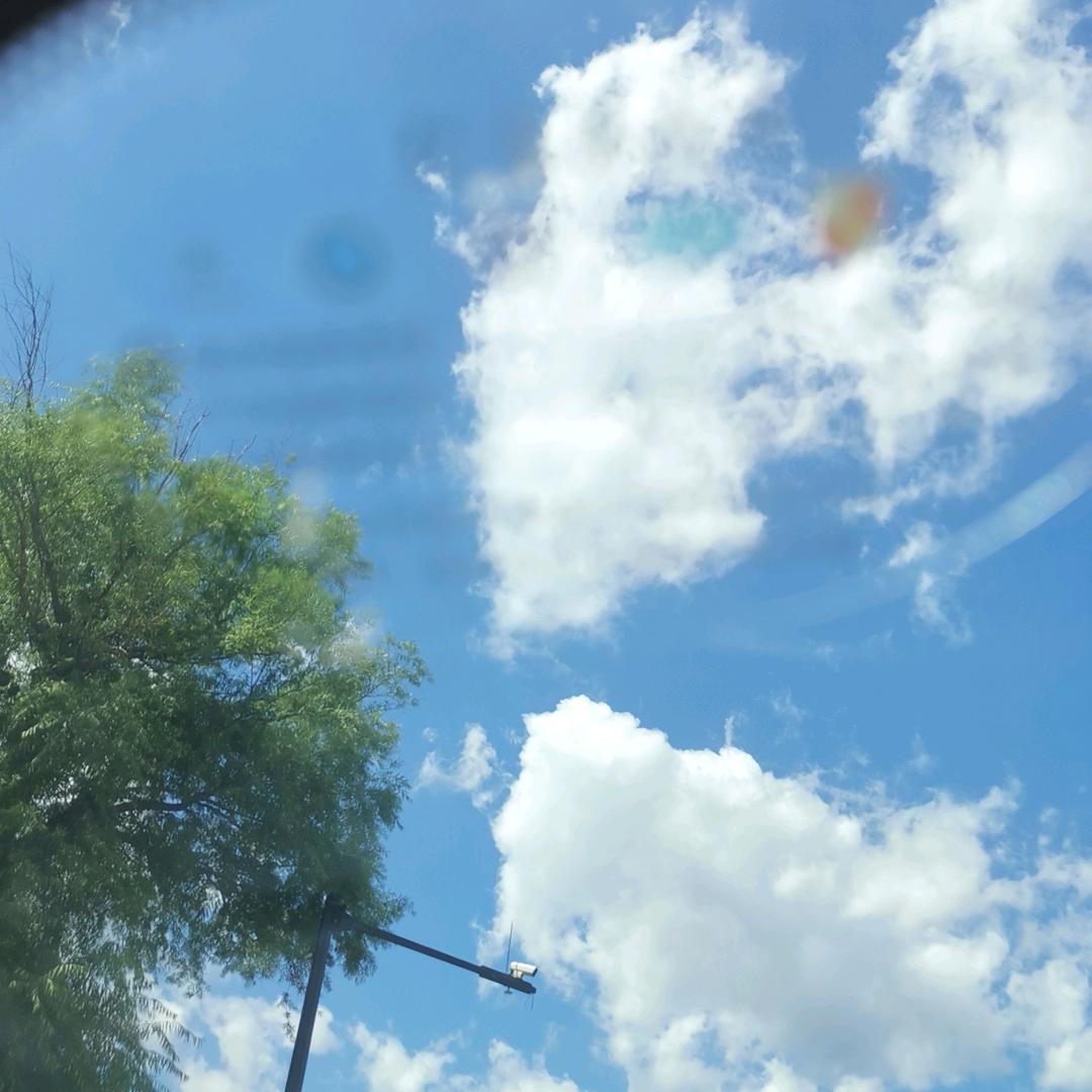 陈小探好房