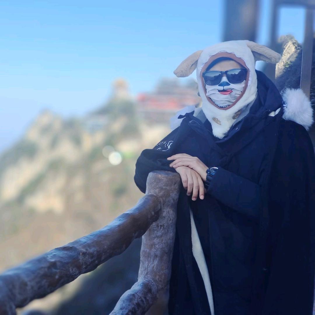 小兔鸡
