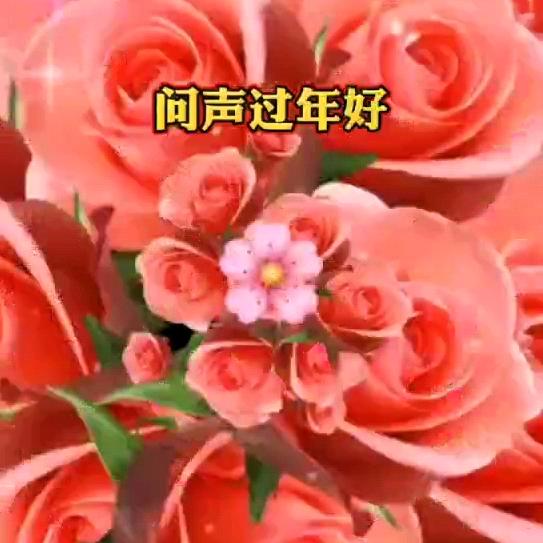 @陌上花开