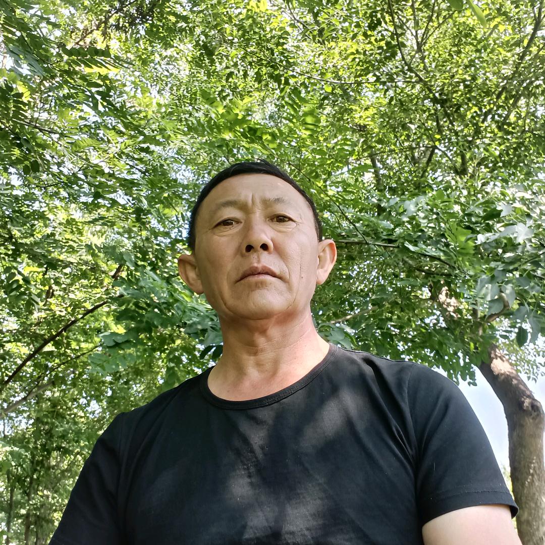 平安人生