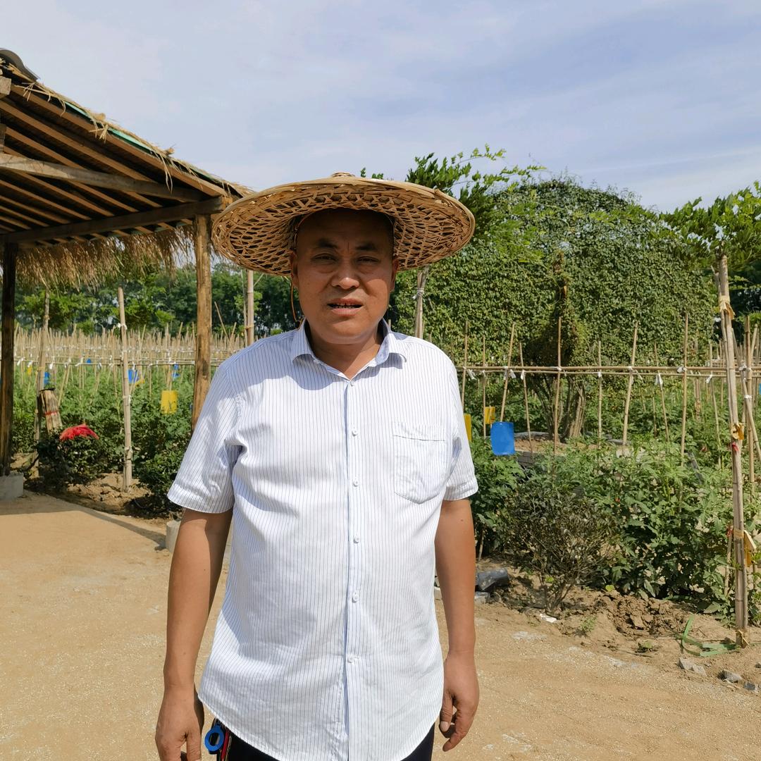 鄢陵八棵树生态园