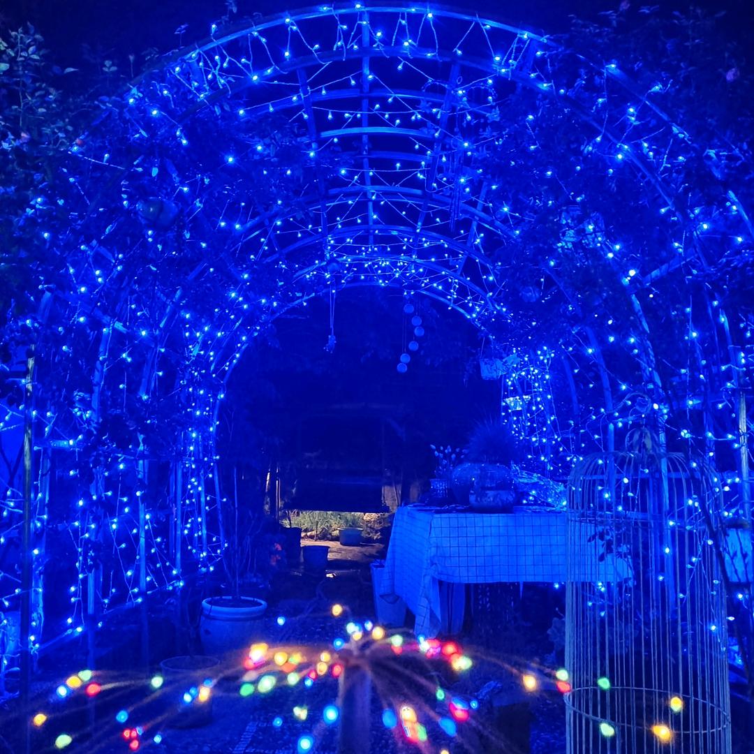 🇨🇳回村🇨🇳门锅🏹