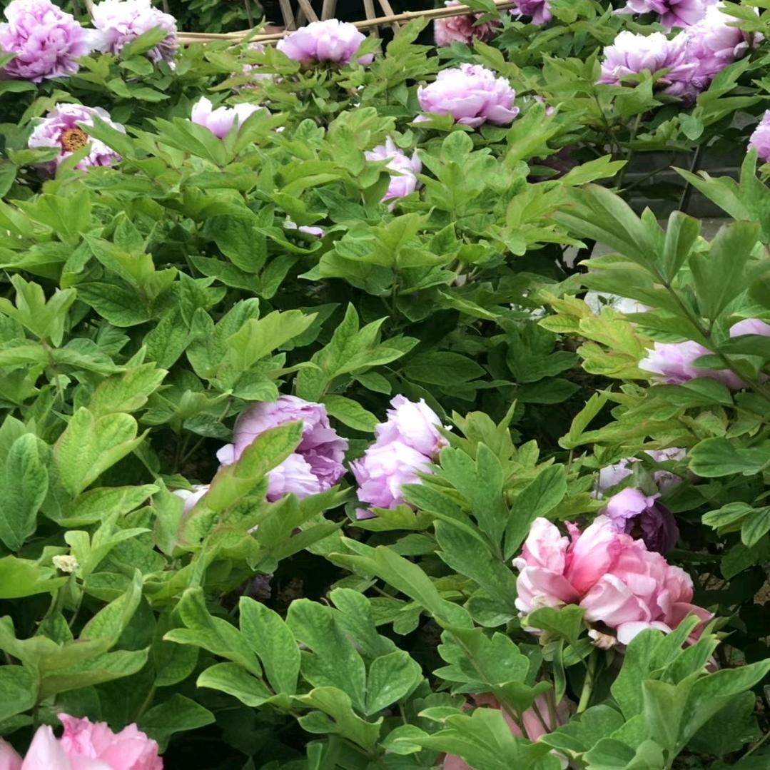 顺其自然，做好自己