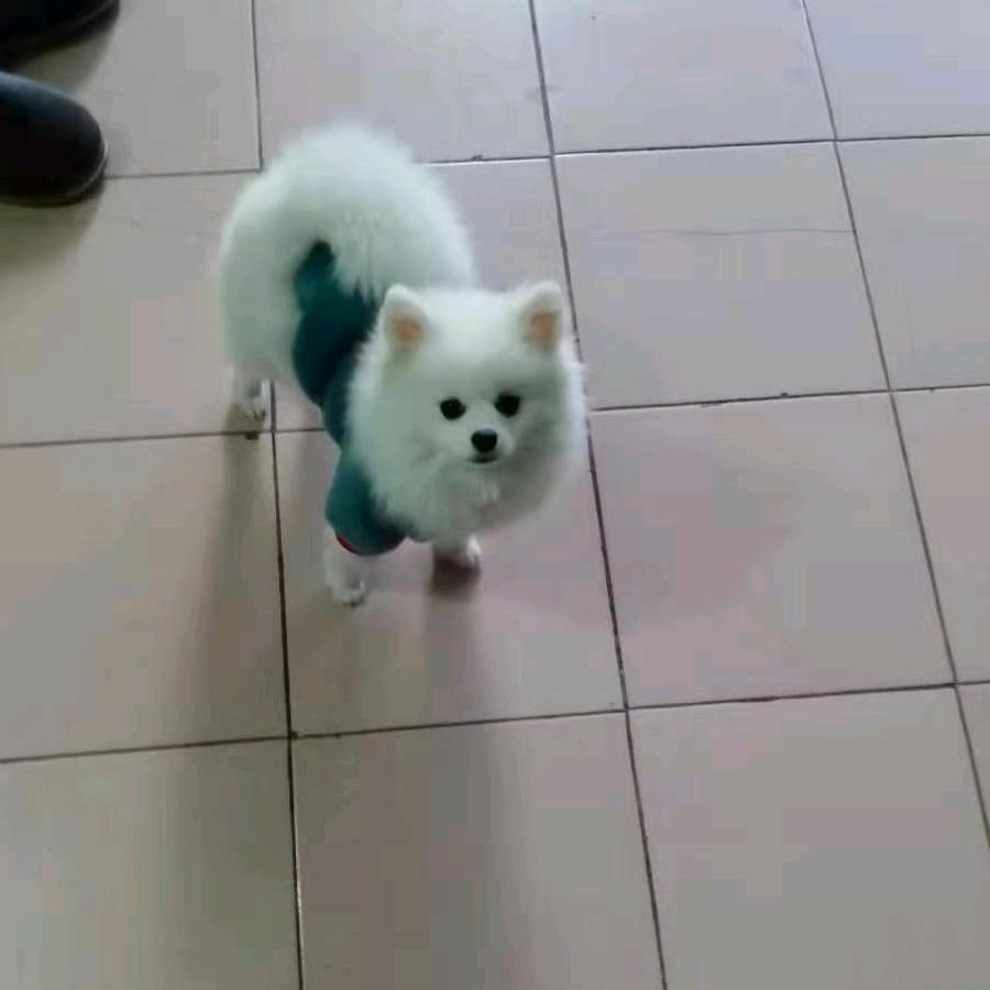 快乐chen