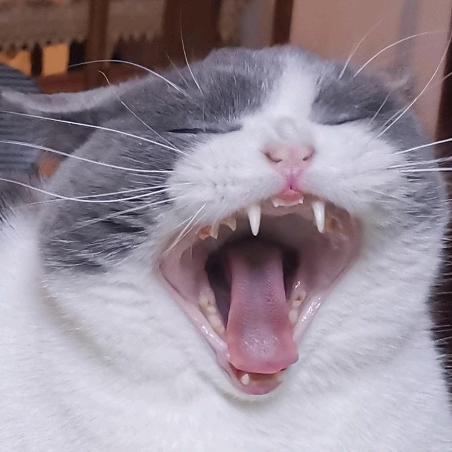 久久有丶小脾气