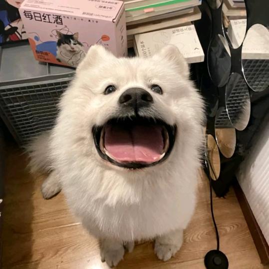 不啃指甲