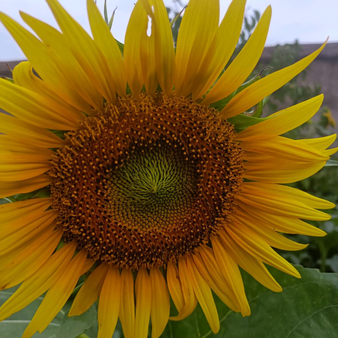 不苦不累人生无味