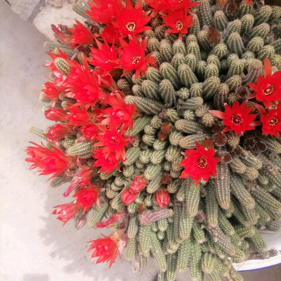 结缘之窗(拒私聊)