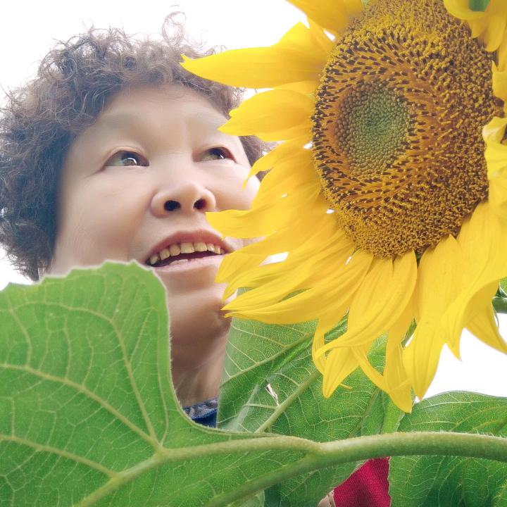 不忘初心，牢记使命