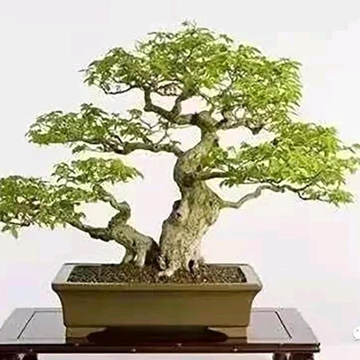 用户1716312507899庆幸有你