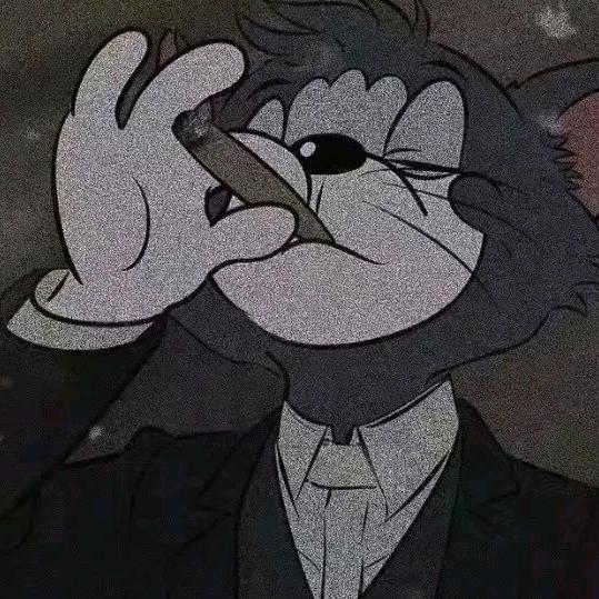 番茄炖了西红柿