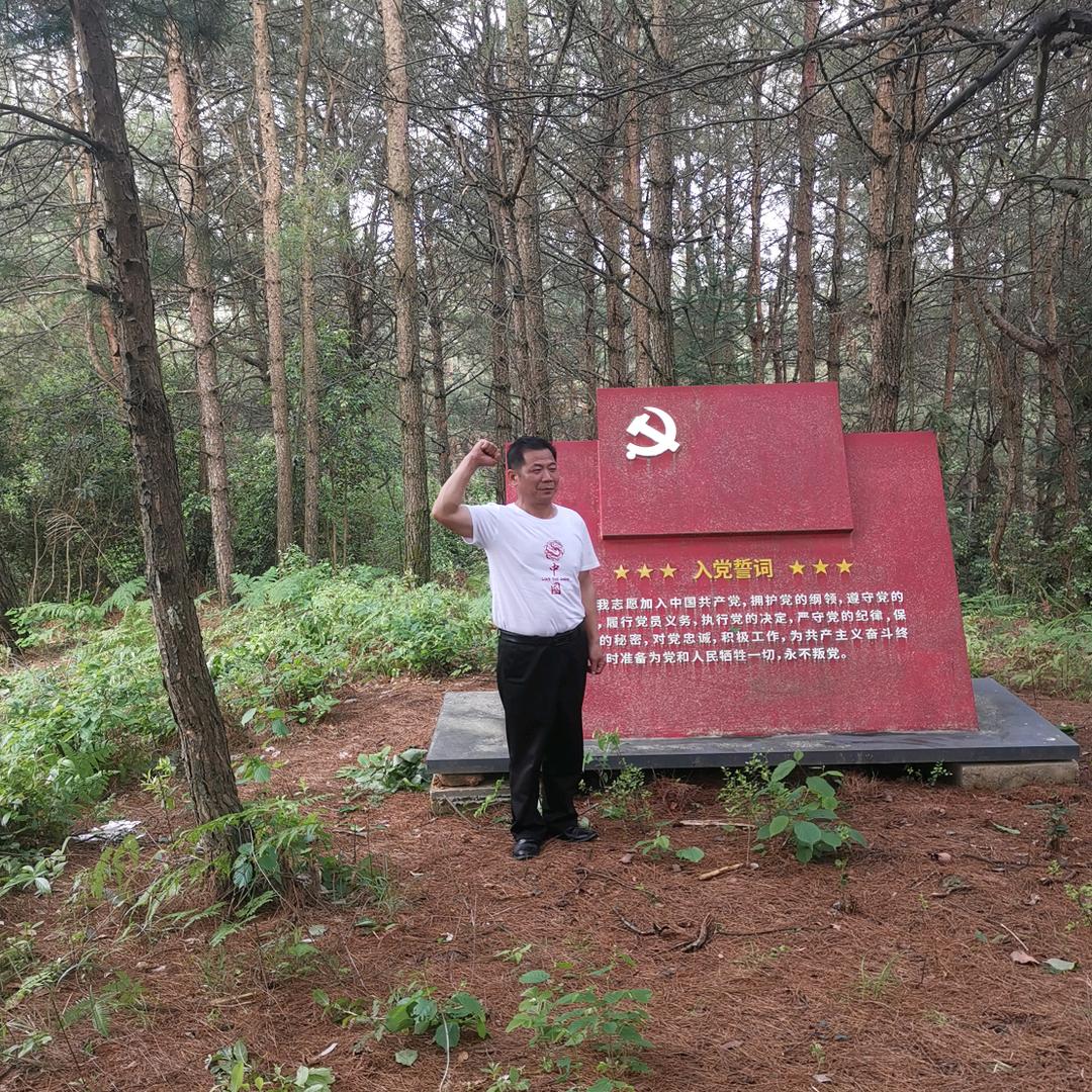 邵家黑毛猪养殖基地