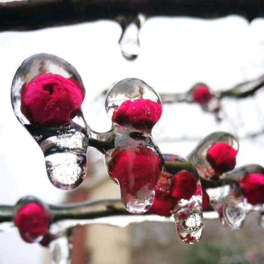 我的学员我来宠