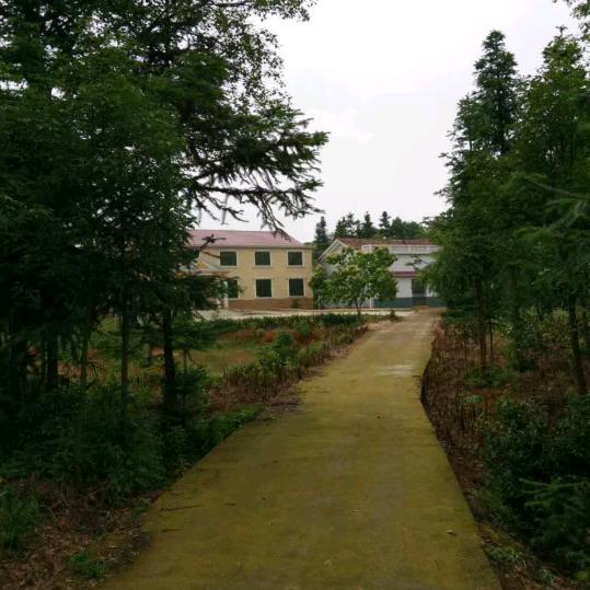 细峰哥