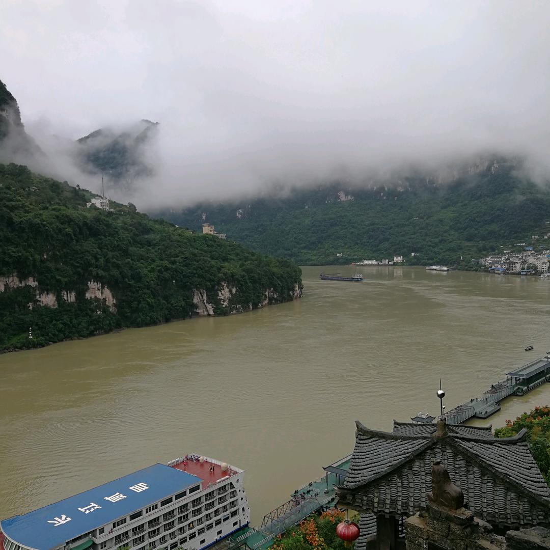 我是受伤的狼