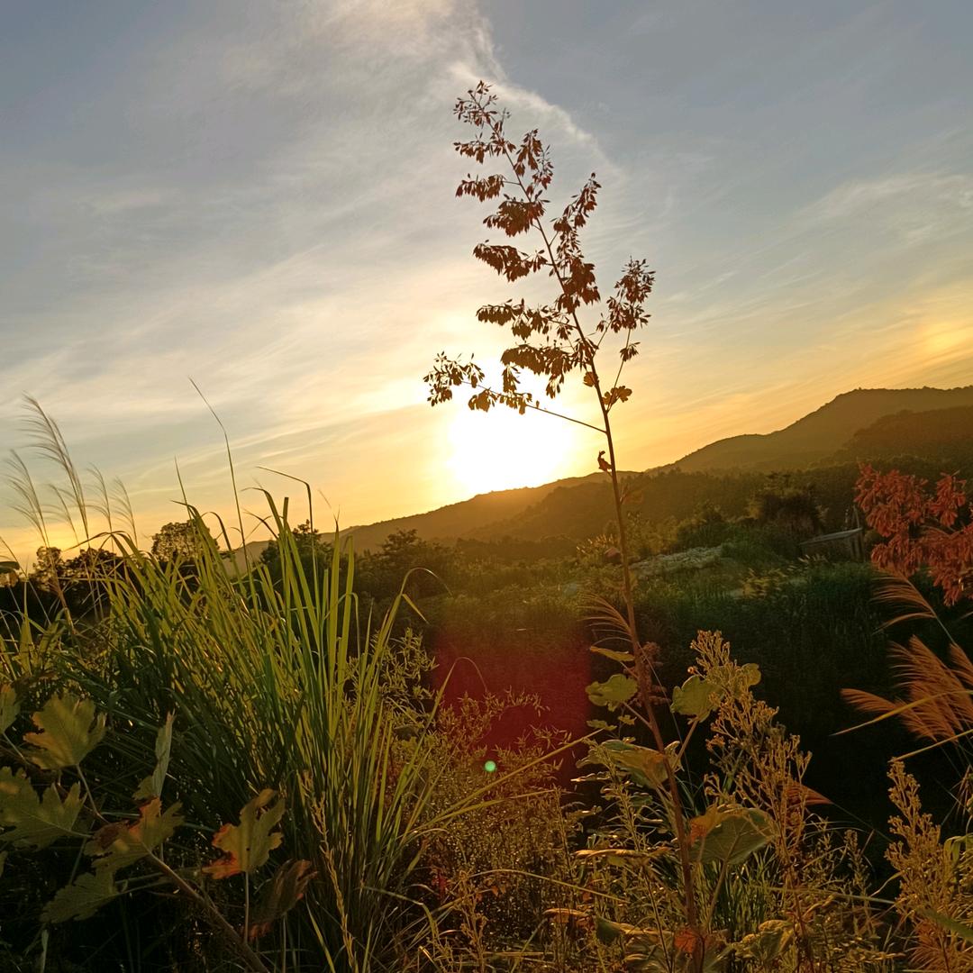 株洲市广电空调制冷维修